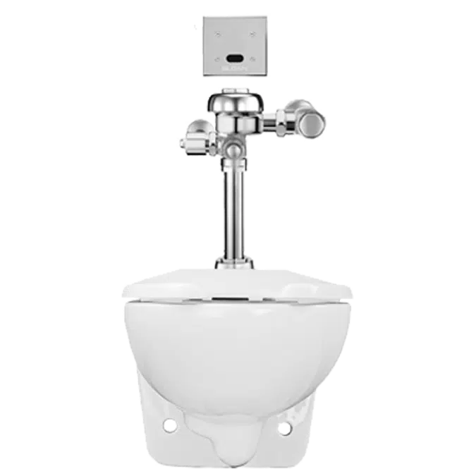 WETS-2450.1320 ST-2459 Water Closet and SLOAN 111 ESS Flushometer