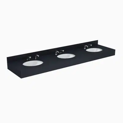 Designer Series™ DSCT 83000 3-Station Wall-Mounted Counter Top Sink 이미지