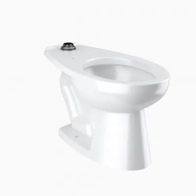 Imagem para ST-2009 Vitreous China Floor-Mounted Water Closet}