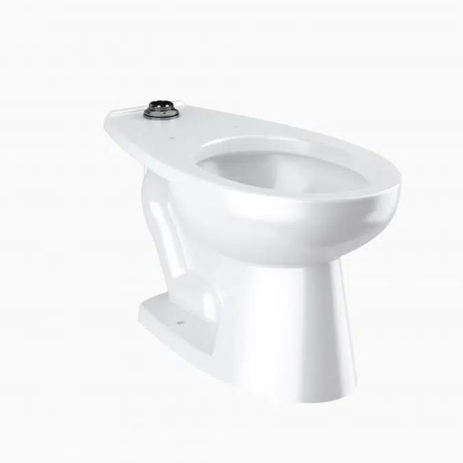 ST-2009 Vitreous China Floor-Mounted Water Closet