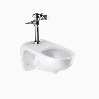 bilde for WETS-2450.1010 ST-2459 Water Closet and SLOAN 111 Flushometer