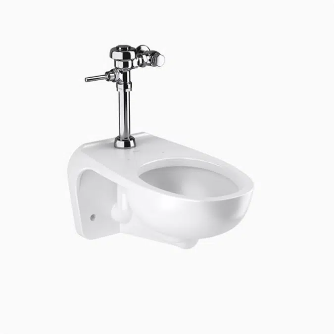 WETS-2450.1010 ST-2459 Water Closet and SLOAN 111 Flushometer