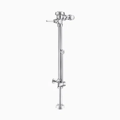 Bild für Royal® BPW 1000 Exposed Manual Specialty Water Closet Bedpan Washer Flushometer