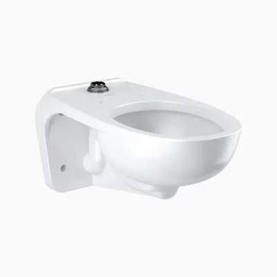 Image for ST-2459 Vitreous China Wall-Mounted Water Closet