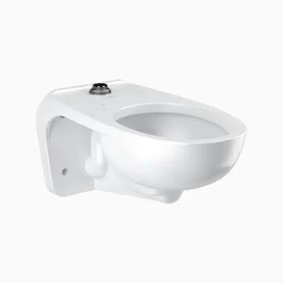 imagen para ST-2459 Vitreous China Wall-Mounted Water Closet