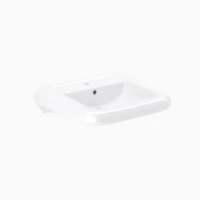 Immagine per SS 3165 Vitreous China Wall-Mounted Ledgeback Lavatory