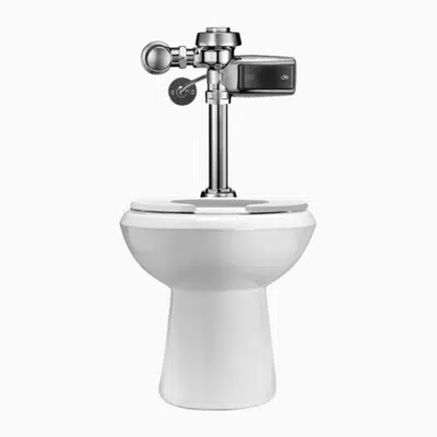 Immagine per WETS 2000.1302 ST-2009 Water Closet and ROYAL 111 SMOOTH Flushometer
