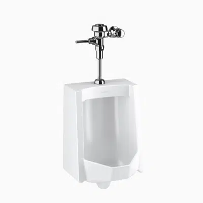 Image for WEUS-1005.1001 SU-1009 Urinal and ROYAL 186 Flushometer