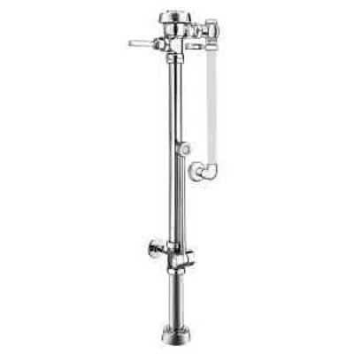 Image pour Royal® BPW 1010 Exposed Manual Specialty Water Closet Bedpan Washer Flushometer
