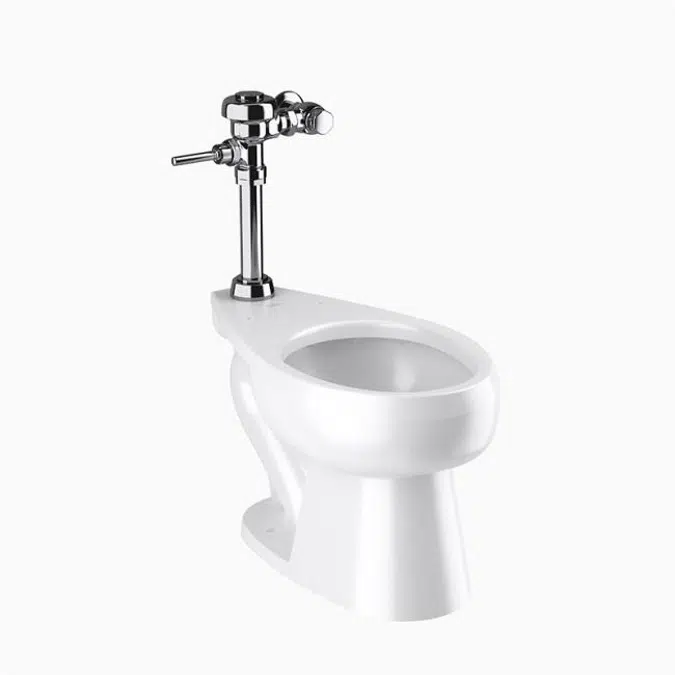 WETS-2020.1010 ST-2029 Water Closet and SLOAN 111 Flushometer