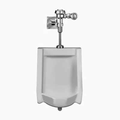Image for WEUS 1000.1301 SU-1009 Urinal and ROYAL 186 ESS Flushometer