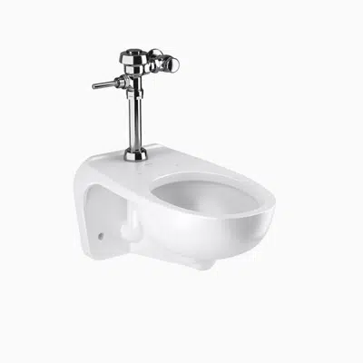 bild för WETS-2450.1001 ST-2459 Water Closet and ROYAL 111 Flushometer