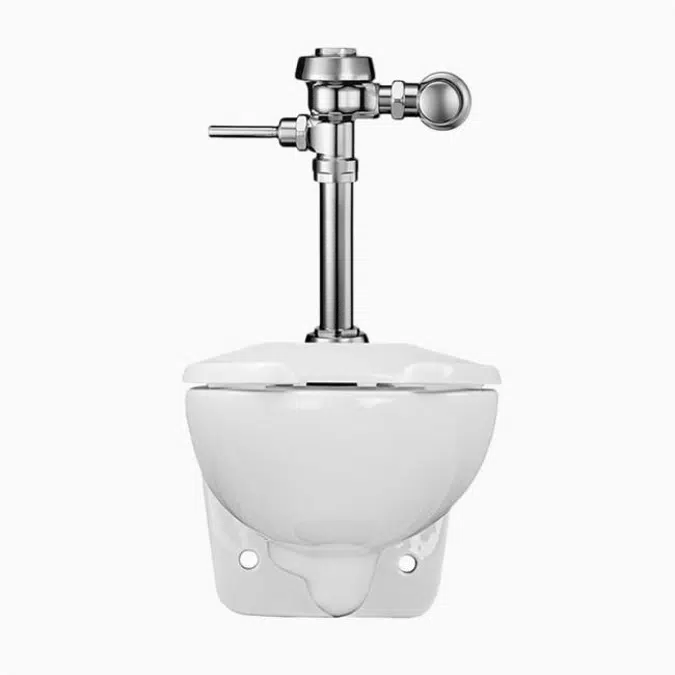 WETS-2452.1002 ST-2459 Water Closet and WES 111 Flushometer