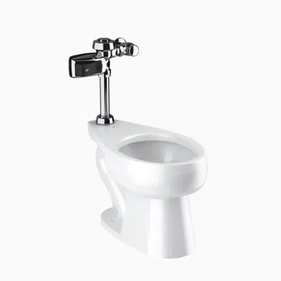 bilde for WETS 2000.1403 ST-2009 Water Closet and ROYAL 111 SMOOTH Flushometer