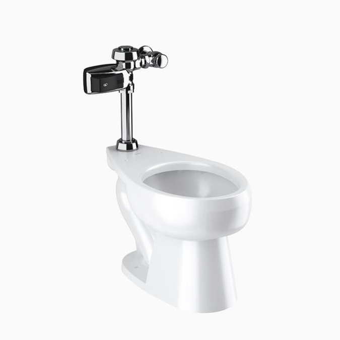 WETS 2000.1403 ST-2009 Water Closet and ROYAL 111 SMOOTH Flushometer