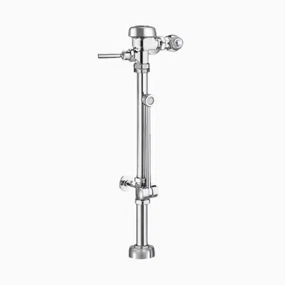 Image for Regal® BPW 1100 Exposed Manual Specialty Water Closet Bedpan Washer Flushometer