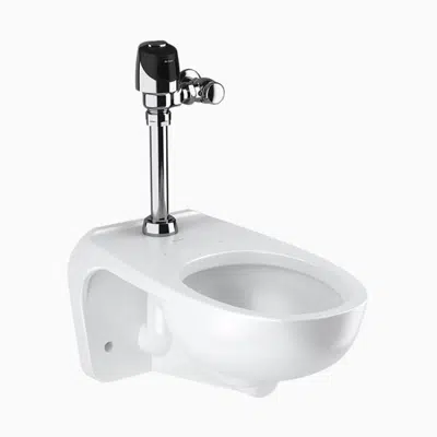 Image for WETS-2450.1401 ST-2459 Water Closet and G2 8111 Flushometer