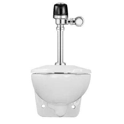 Image for WETS-2453.1410 ST-2459 Water Closet and SLOAN 8111 Flushometer