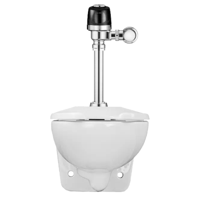 WETS-2453.1410 ST-2459 Water Closet and SLOAN 8111 Flushometer