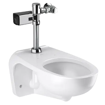bilde for WETS-2450.1404 ST-2459 Water Closet and GEM-2 111 SFSM Flushometer
