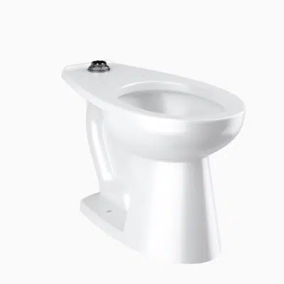 Image for ST-2029 Vitreous China Floor-Mounted ADA Water Closet