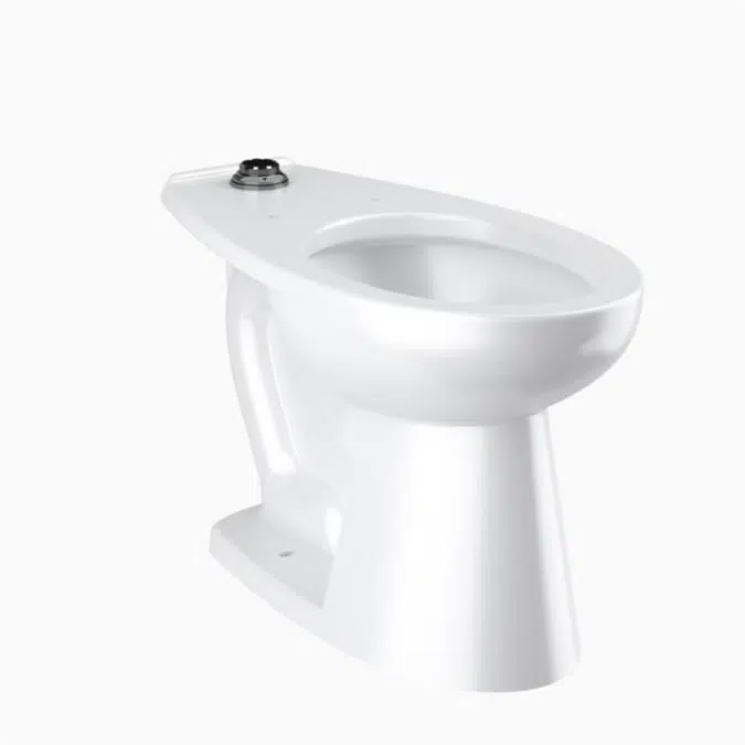 ST-2029 Vitreous China Floor-Mounted ADA Water Closet