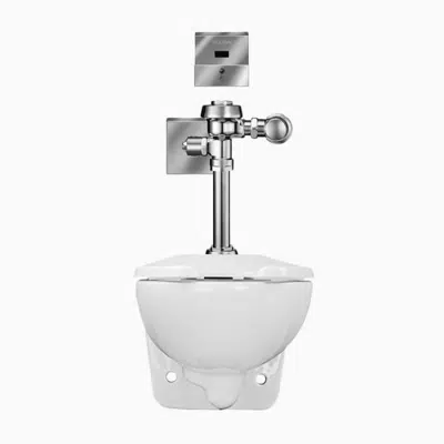bilde for WETS-2450.1301 ST-2459 Water Closet and ROYAL 111 ESS Flushometer