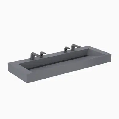 Image for Designer Series™ DSWD 82000 2-Station Wall-Mounted Weir Deck Sink