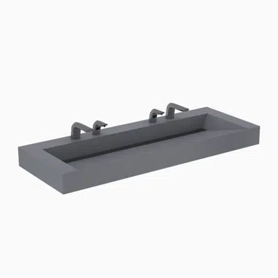 Imagem para Designer Series™ DSWD 82000 2-Station Wall-Mounted Weir Deck Sink}