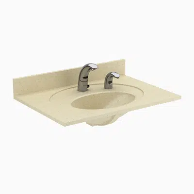 Image for ELC-71000 SloanStone® 1-Station Wall-Mounted Counter Top Sink