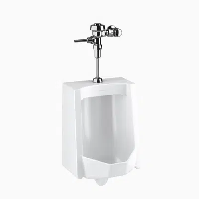 Image for WEUS 1000.1001 SU-1009 Urinal and ROYAL 186 Flushometer