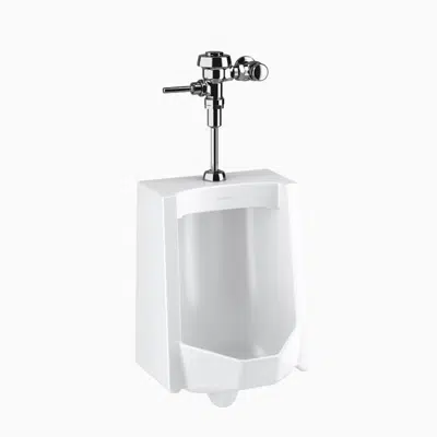 imagen para WEUS 1000.1001 SU-1009 Urinal and ROYAL 186 Flushometer