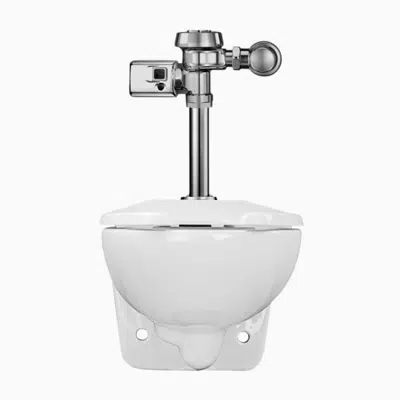 obraz dla WETS-2450.1402 ST-2459 Water Closet and ROYAL 111 SMO Flushometer