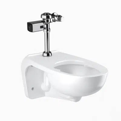 kuva kohteelle WETS-2450.1420 ST-2459 Water Closet and SLOAN 111 SFSM Flushometer