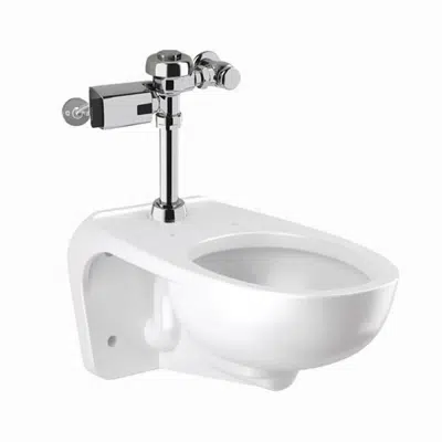 bilde for WETS-2450.1426 ST-2459 Water Closet and SLOAN 111 SFSM Flushometer