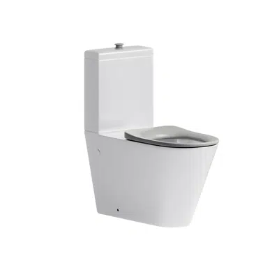 afbeelding voor Aliro - Accessible Back To Wall Toilet Suite