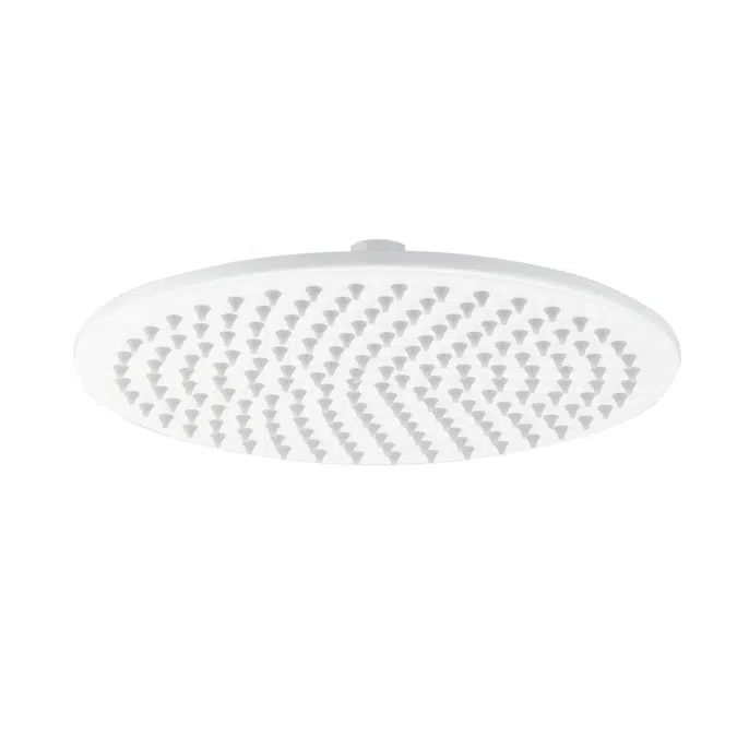 Shower Head Round 250mm