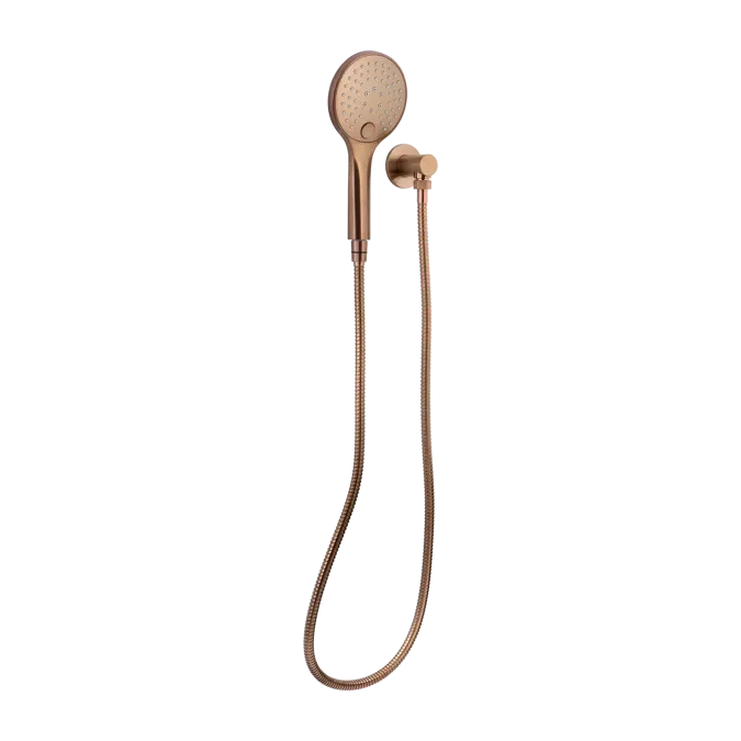 Aliro Accessible 3-Function Hand Shower Set