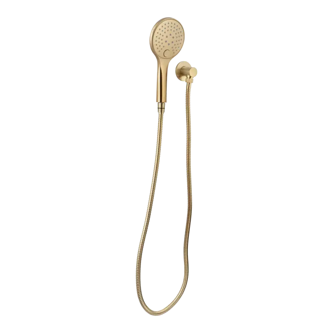 Aliro Accessible 3-Function Hand Shower Set