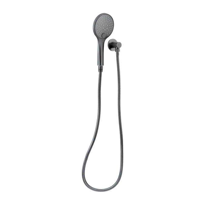 Aliro Accessible 3-Function Hand Shower Set