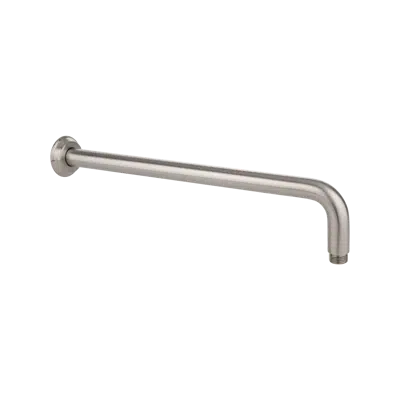 obraz dla Kingsley Shower Arm