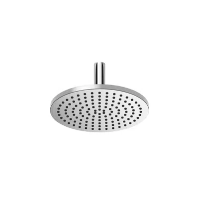 afbeelding voor 28689970FF0010 Rain shower with ceiling fixing