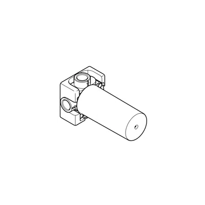 35124970FF0010 Dornbracht Concealed two-way diverter图像