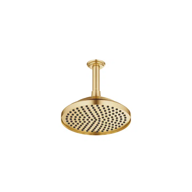 28565977FF0010 Madison Rain shower with ceiling fixing