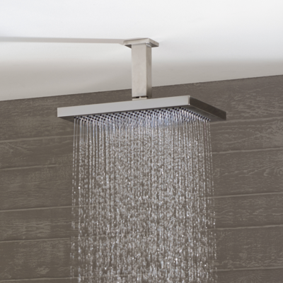 Image pour 28775980 Dornbracht Rain shower with ceiling fixing
