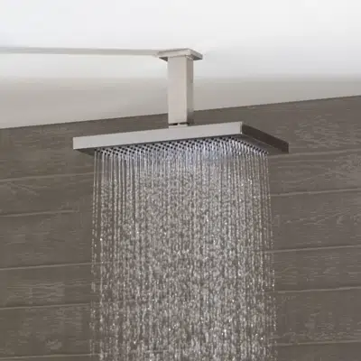 Image for 28775980 Dornbracht Rain shower with ceiling fixing