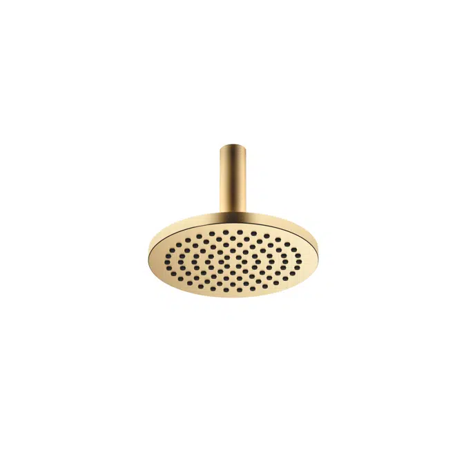 28669970FF0010 Dornbracht Rain shower with ceiling fixing