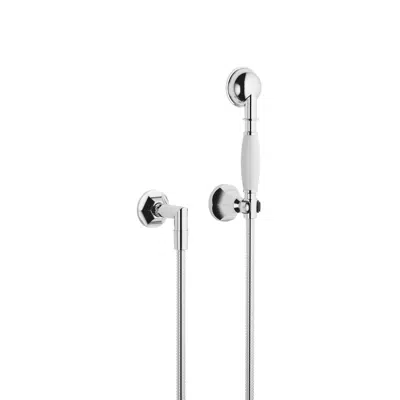 Image for 27803371FF0010 Madison Hand shower set with individual rosettes