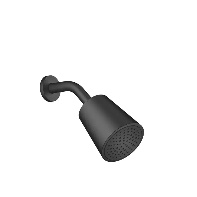 28504979FF0010 Dornbracht Shower head with one flow mode 100 mm