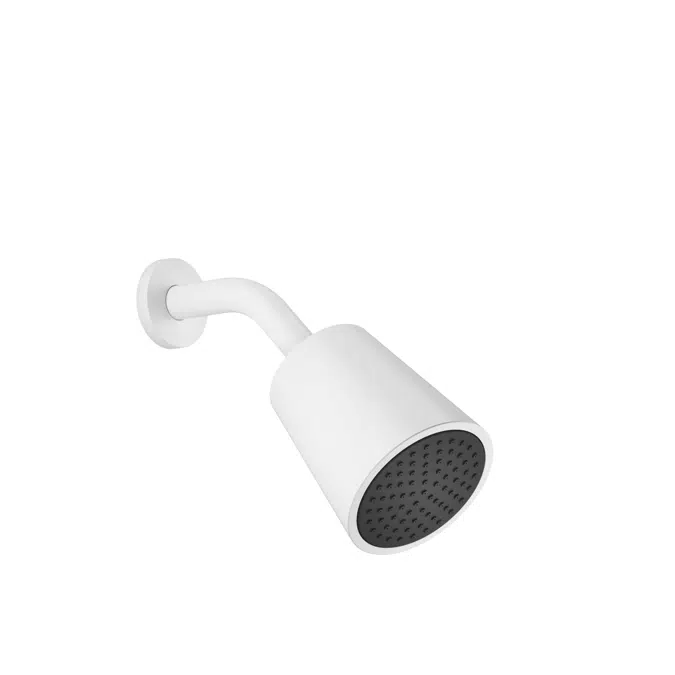 28504979FF0010 Dornbracht Shower head with one flow mode 100 mm